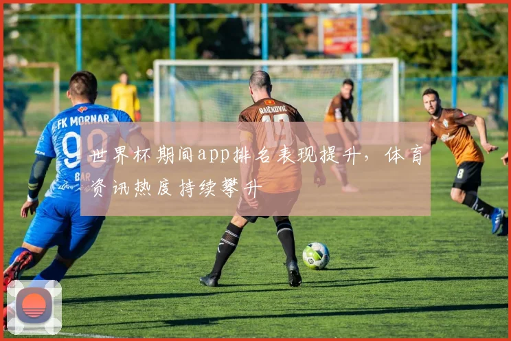 世界杯期间app排名表现提升,体育资讯热度持续攀升